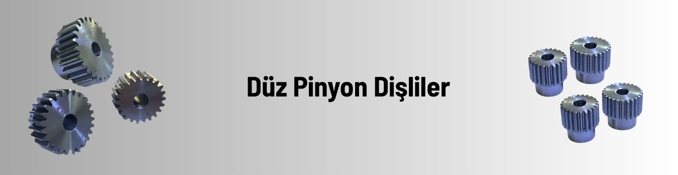 duz-pinyon-disliler.jpg