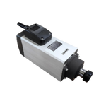 Spindle Motorlar